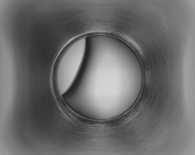 X0000113320580200909140949