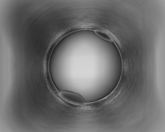 X0000113320581200909140949