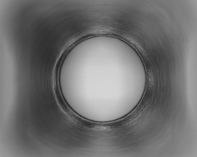 X0000113320582200909140948