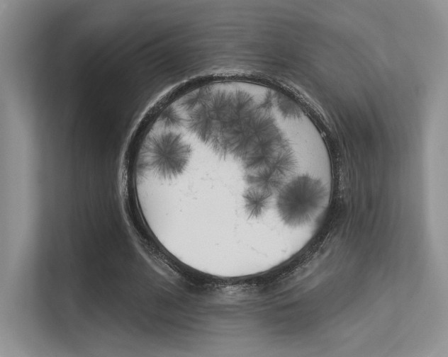 X0000113320584200909140948