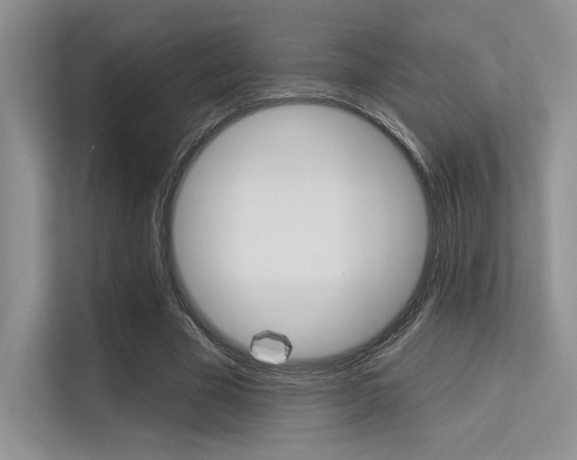 X0000113320585200909140948