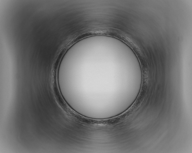 X0000113320586200909140948