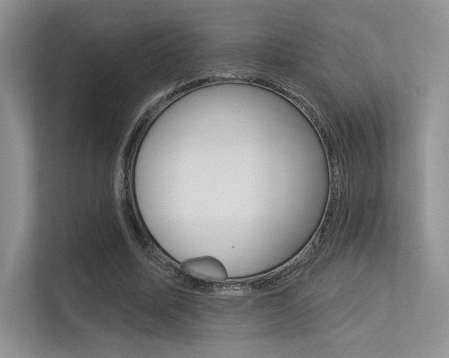 X0000113320587200909140948