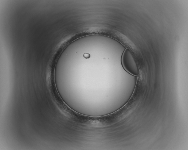 X0000113320588200909140948