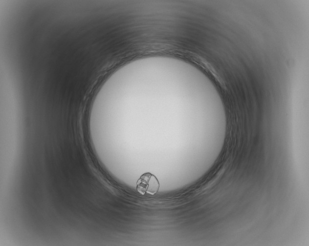 X0000113320589200909140948