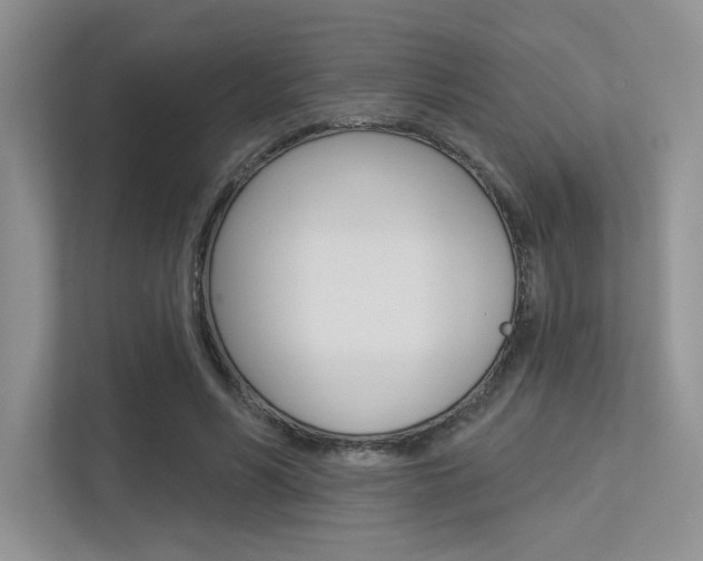 X0000113320590200909140948