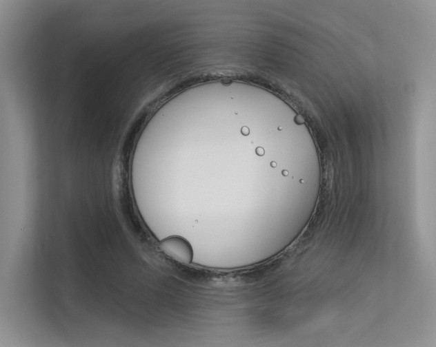 X0000113320591200909140948