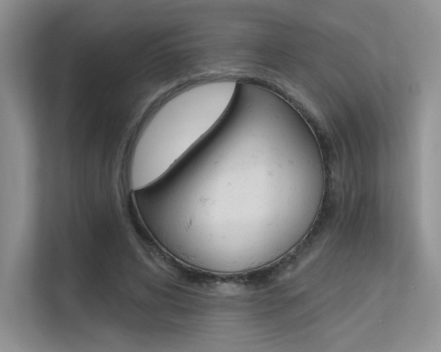 X0000113320592200909140948