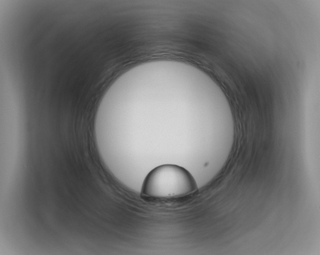 X0000113320599200909140948