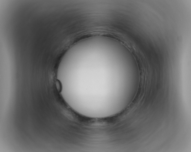 X0000113320601200909140948