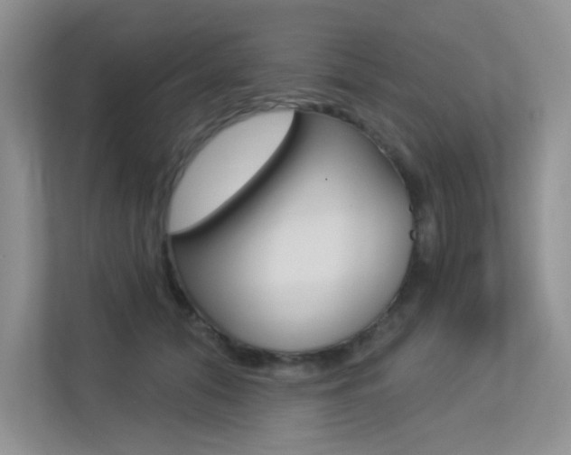 X0000113320608200909140948