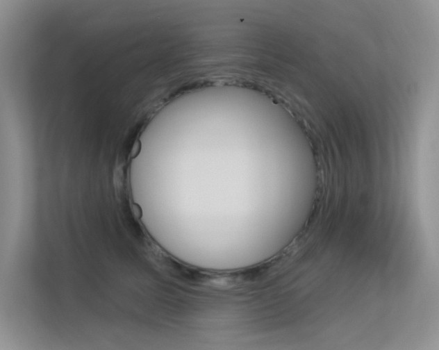 X0000113320611200909140948