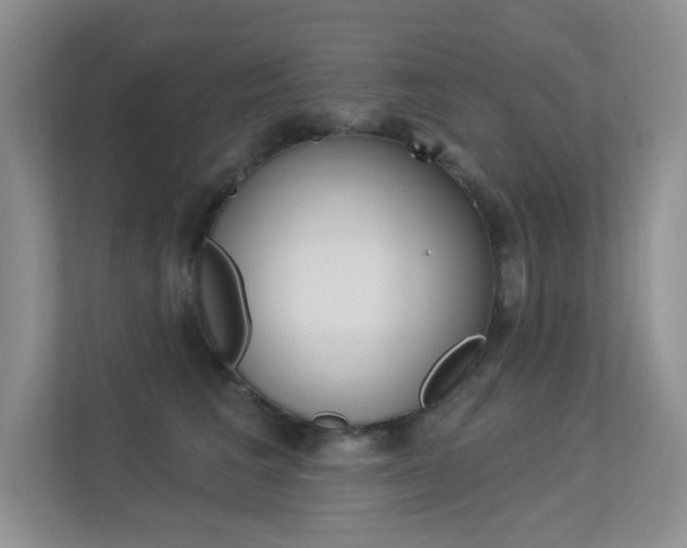 X0000113320613200909140948