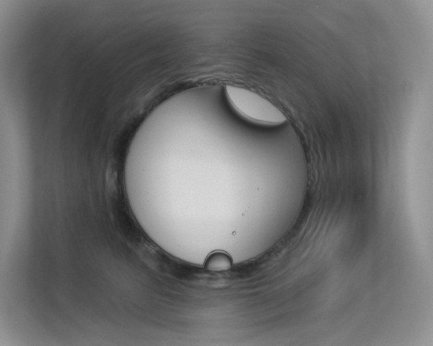 X0000113320615200909140948