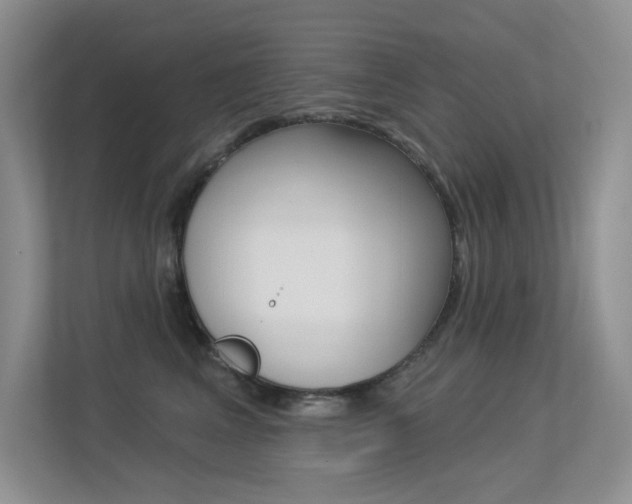 X0000113320617200909140948
