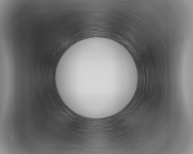 X0000113320621200909140948