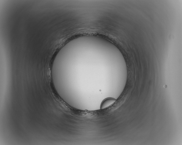 X0000113320624200909140948