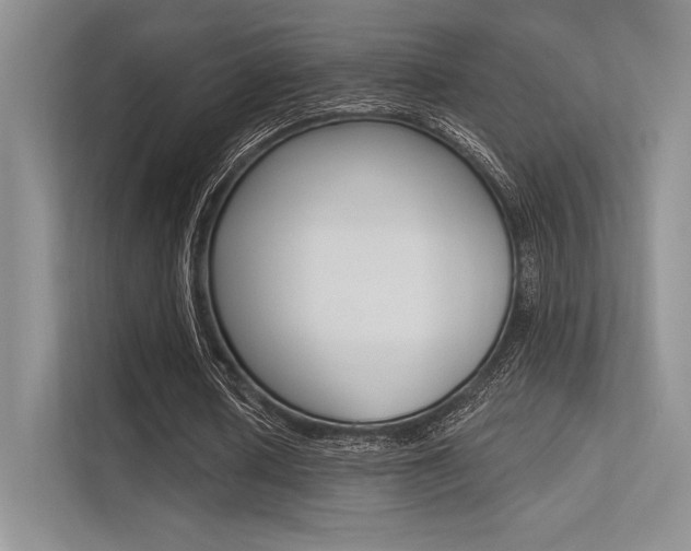 X0000113320626200909140947