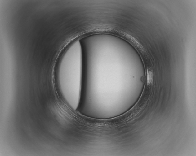 X0000113320627200909140947