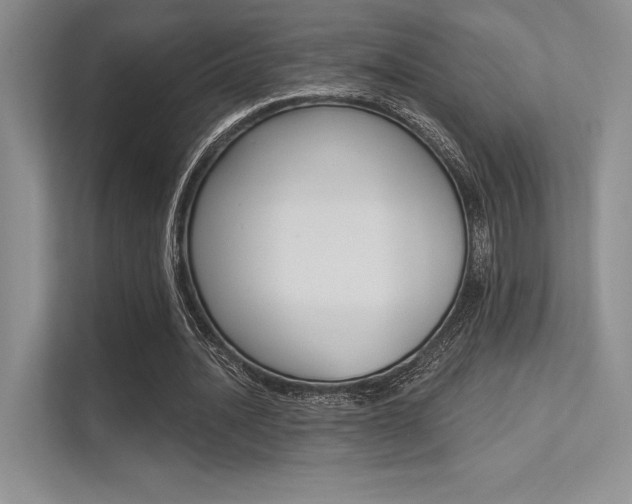 X0000113320628200909140947