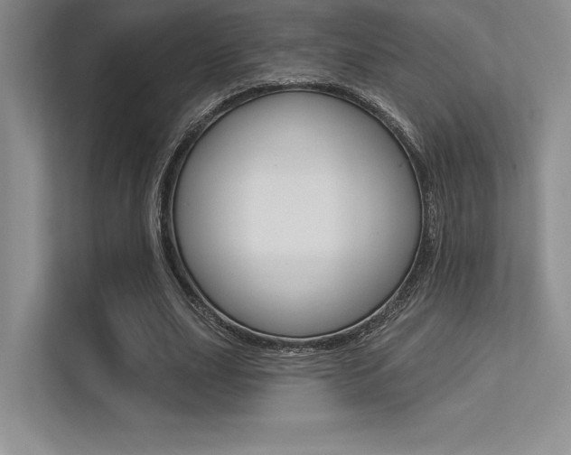 X0000113320631200909140947