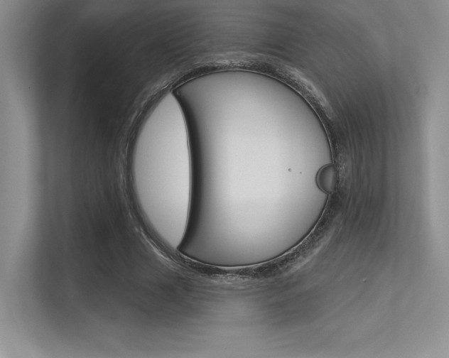 X0000113320633200909140947