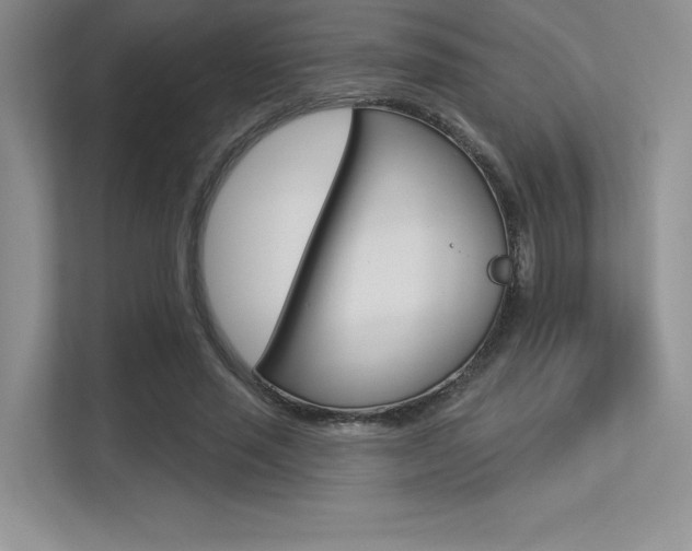 X0000113320637200909140947