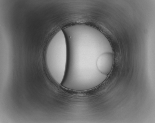 X0000113320639200909140948