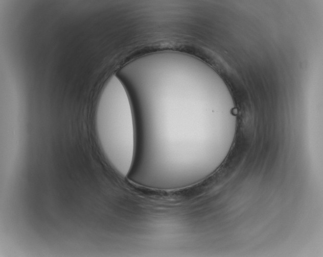 X0000113320643200909140948