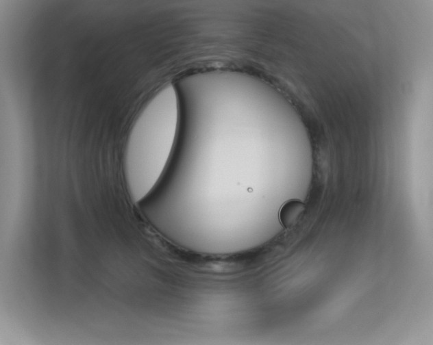 X0000113320657200909140948