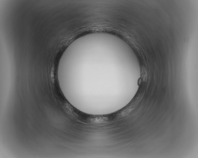 X0000113320670200909140948