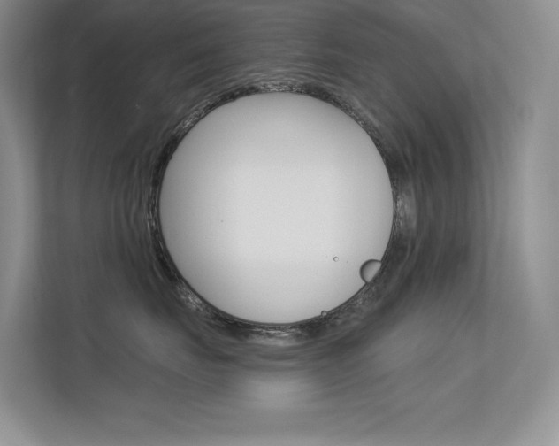X0000113320671200909140948