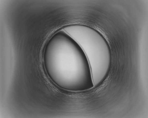 X0000113320673200909140947