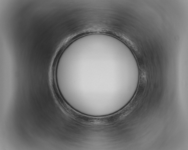 X0000113320678200909140947