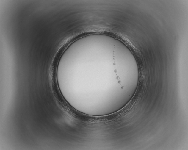 X0000113320679200909140947
