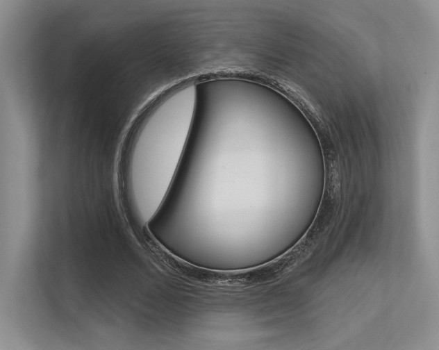 X0000113320680200909140947
