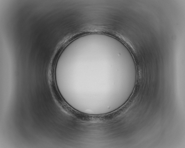 X0000113320682200909140947