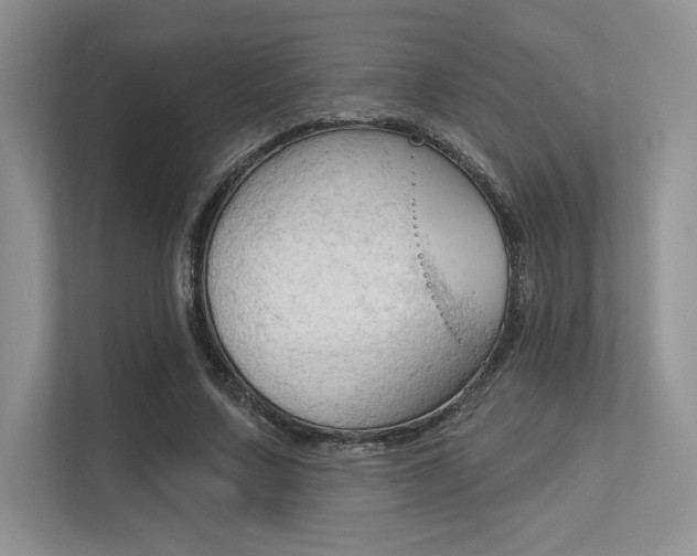 X0000113320683200909140947