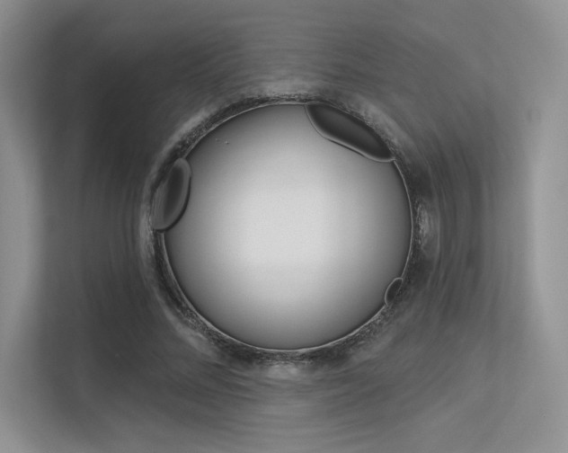 X0000113320684200909140947