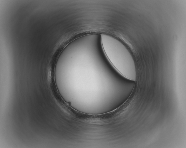 X0000113320685200909140947