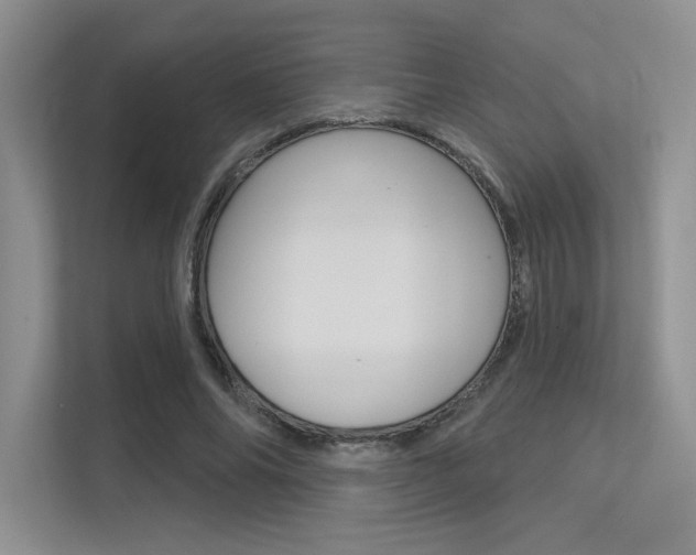 X0000113320686200909140947