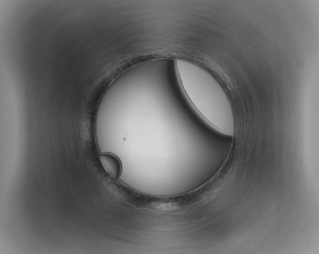 X0000113320689200909140947