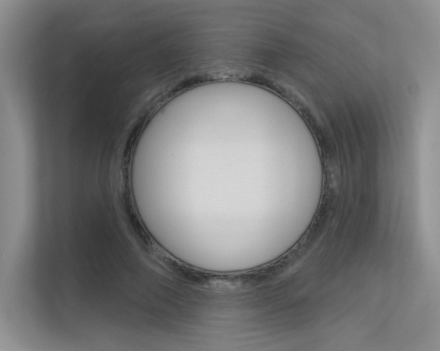 X0000113320690200909140947