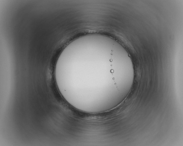 X0000113320691200909140947