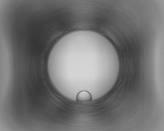 X0000113320692200909140947