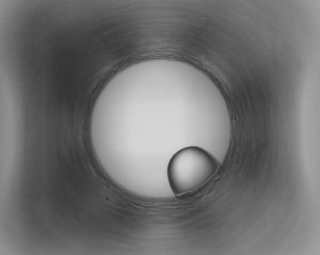 X0000113320693200909140947
