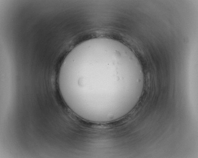 X0000113320698200909140947