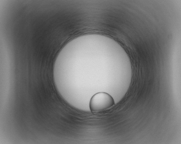 X0000113320700200909140947