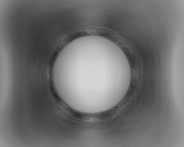 X0000113320702200909140947