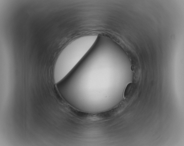 X0000113320704200909140947